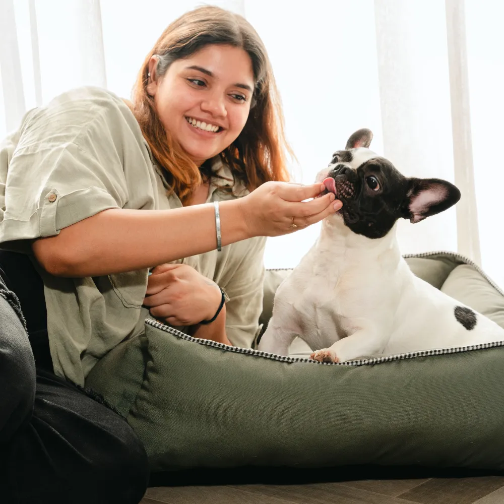 The Olive Lounger Dog Bed
