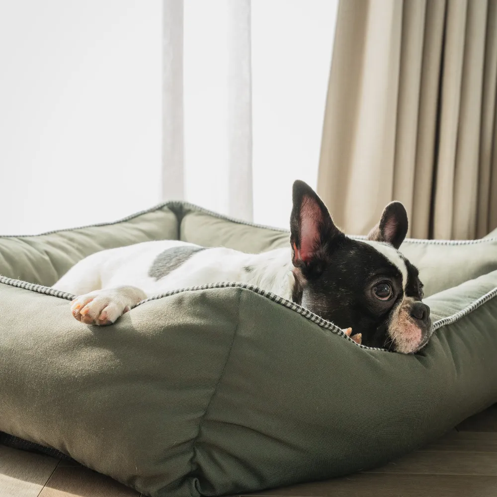The Olive Lounger Dog Bed