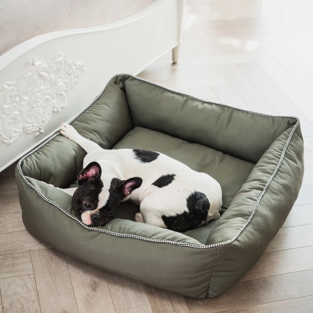 The Olive Lounger Dog Bed