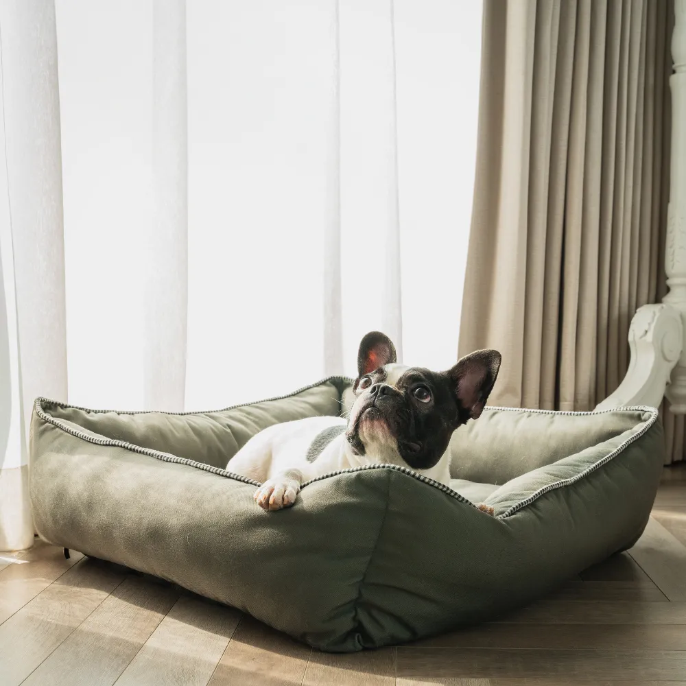 The Olive Lounger Dog Bed