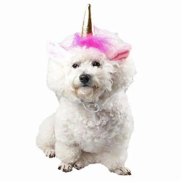 Unicorn Dog Headband