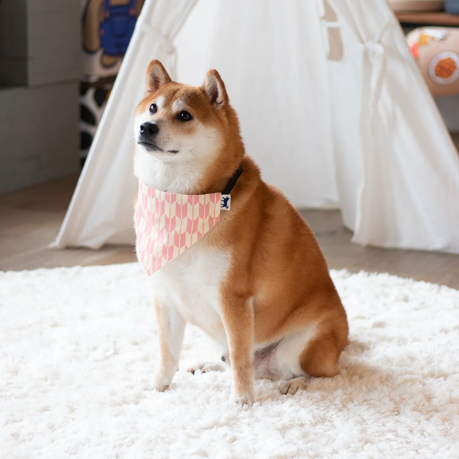 (YA449) Flowers Pattern Pet Bandana